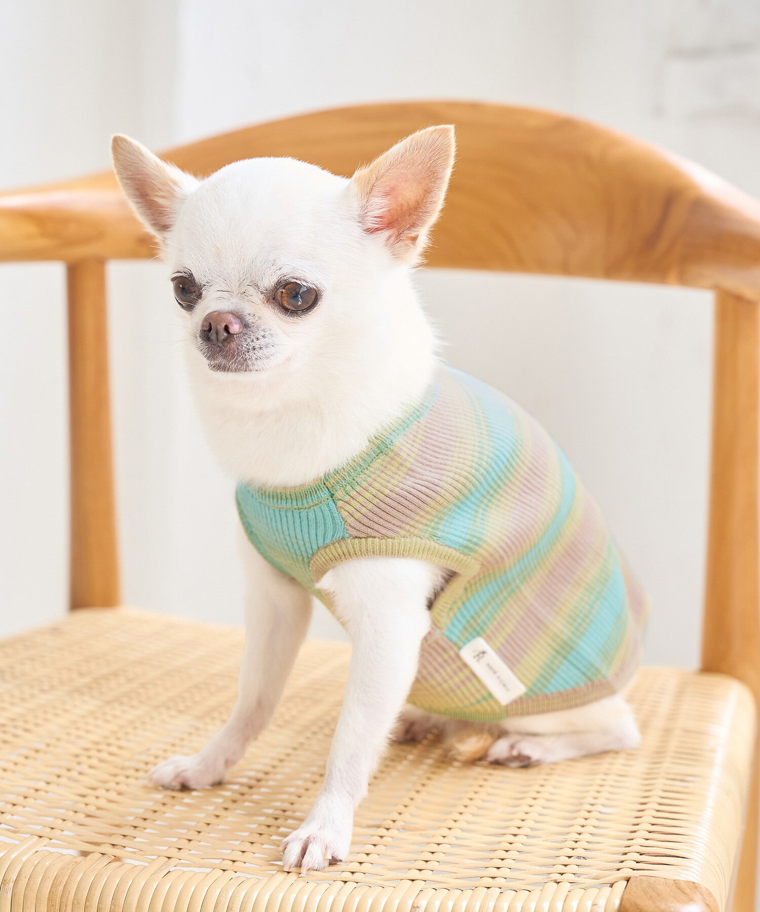 ROPE PICNIC PASSAGE「【DOG】リンクコーデ/ニットタンクトップ」|その他|ライトグリーン(33)