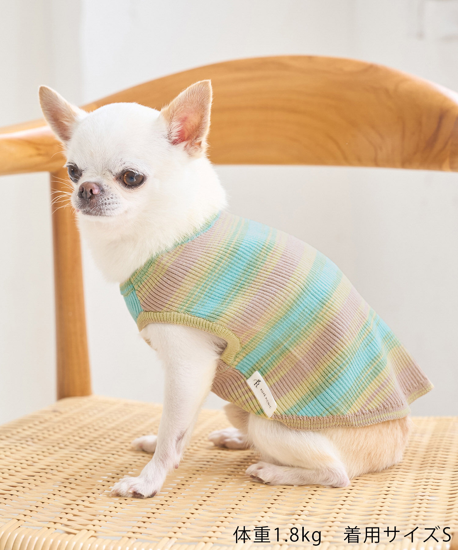 ROPE PICNIC PASSAGE「【DOG】リンクコーデ/ニットタンクトップ」|その他|