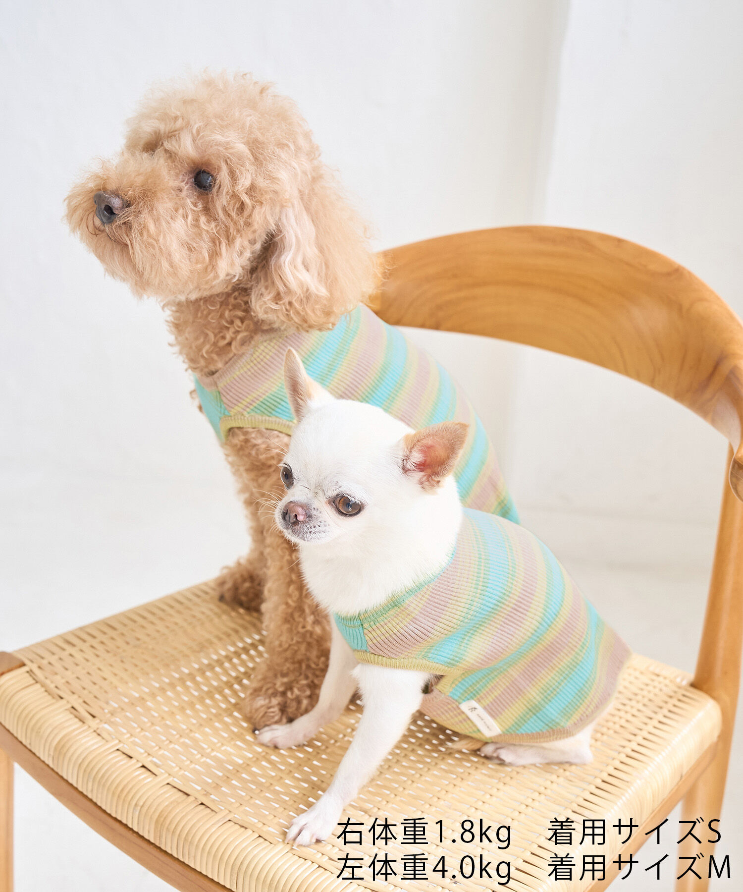 ROPE PICNIC PASSAGE「【DOG】リンクコーデ/ニットタンクトップ」|その他|