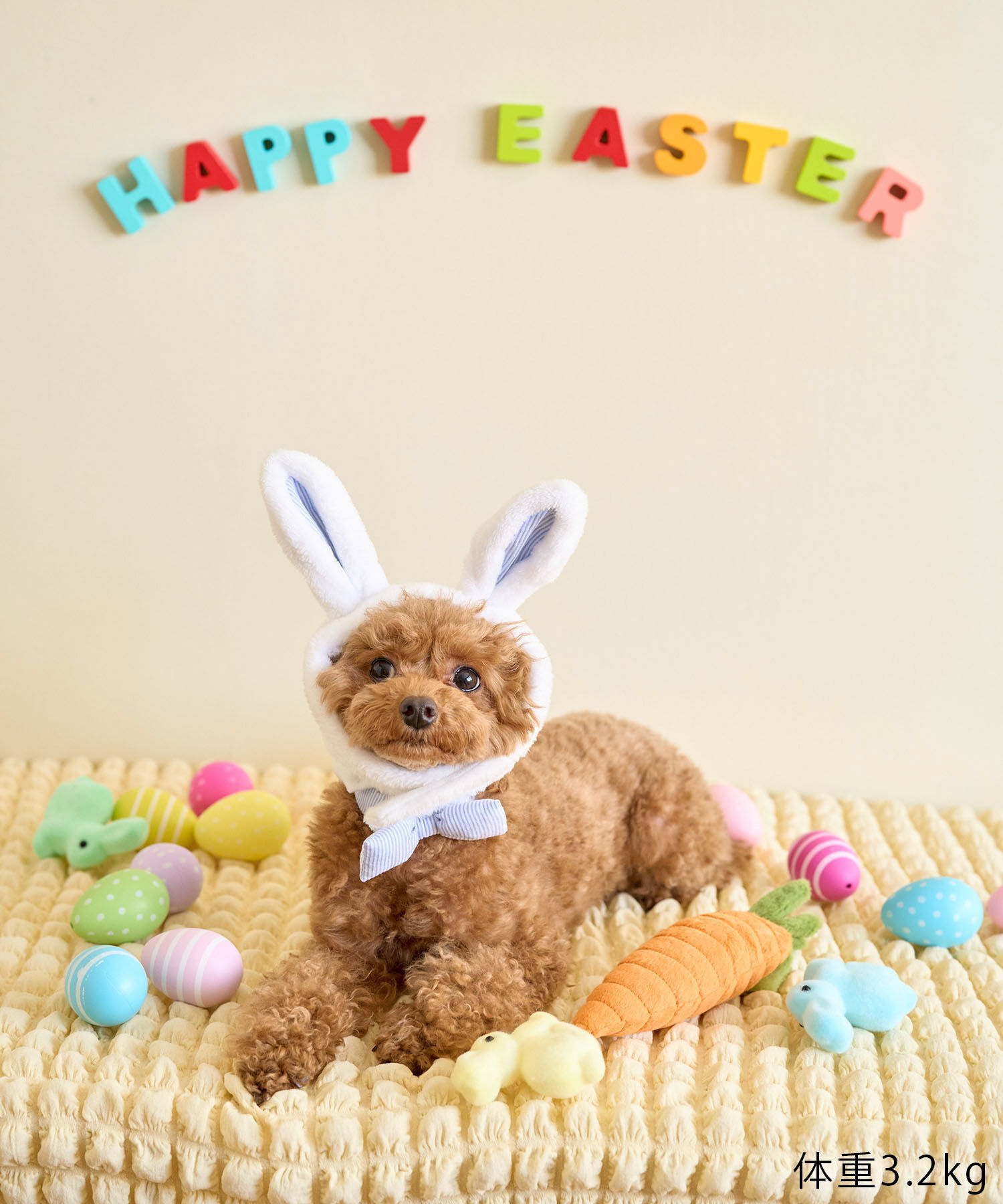 ROPE PICNIC PASSAGE「【DOG】イースターうさぎ犬」|その他|