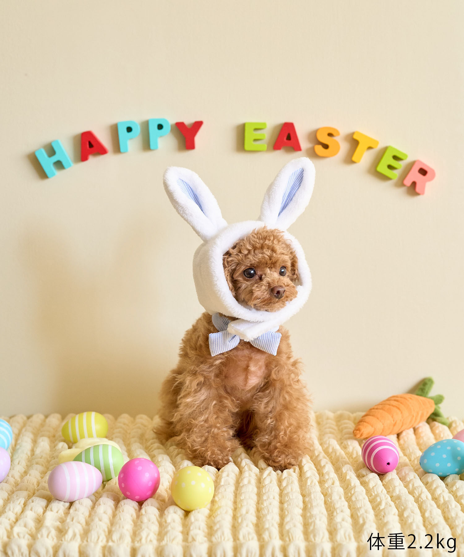 ROPE PICNIC PASSAGE「【DOG】イースターうさぎ犬」|その他|