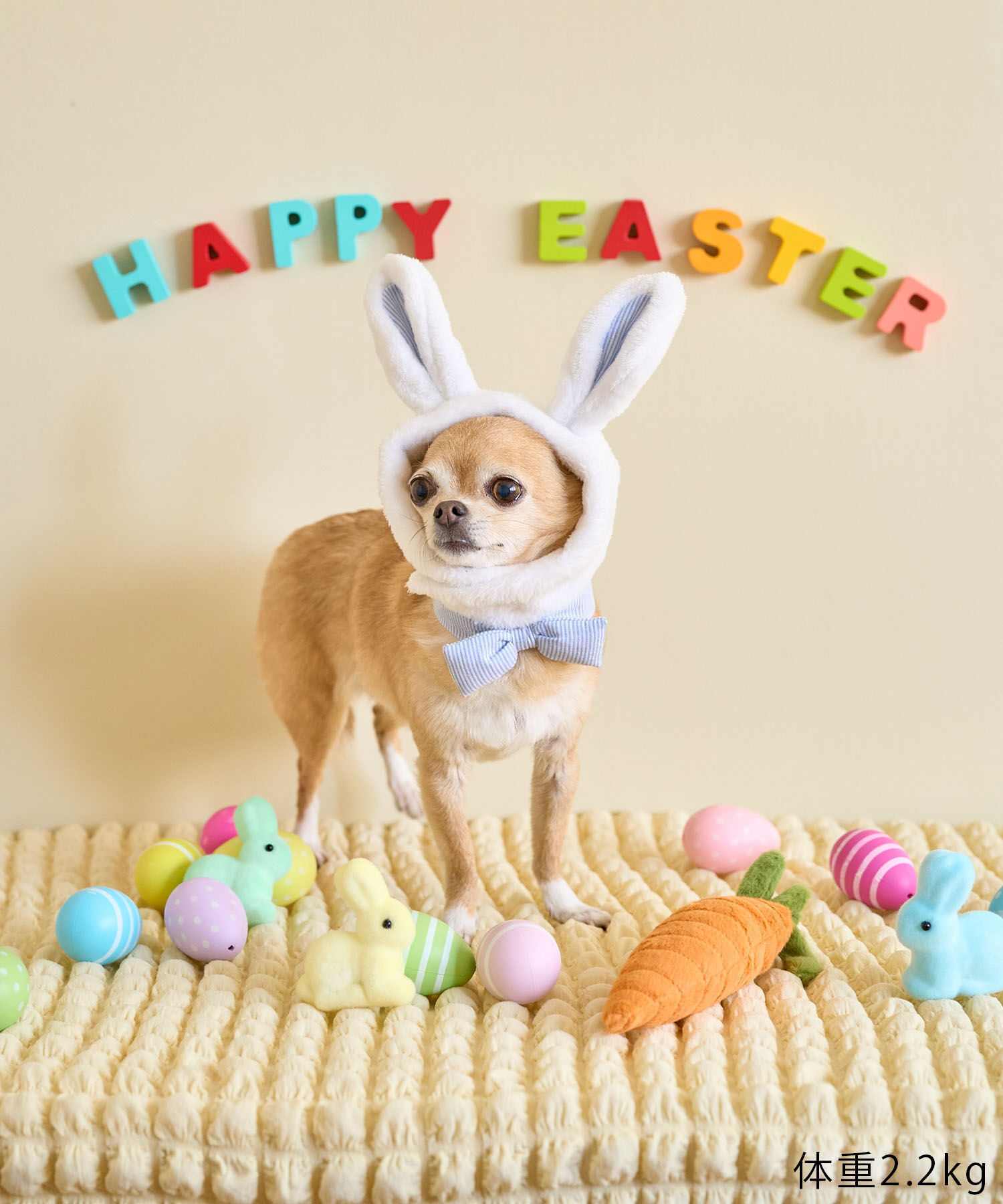 ROPE PICNIC PASSAGE「【DOG】イースターうさぎ犬」|その他|