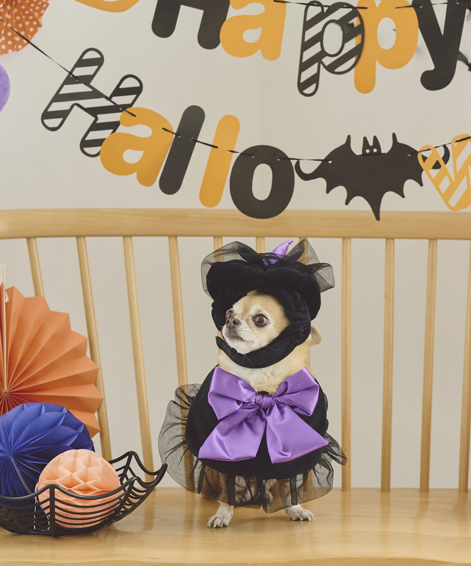 ROPE PICNIC PASSAGE「【DOG】ハロウィン魔女セット」|その他|