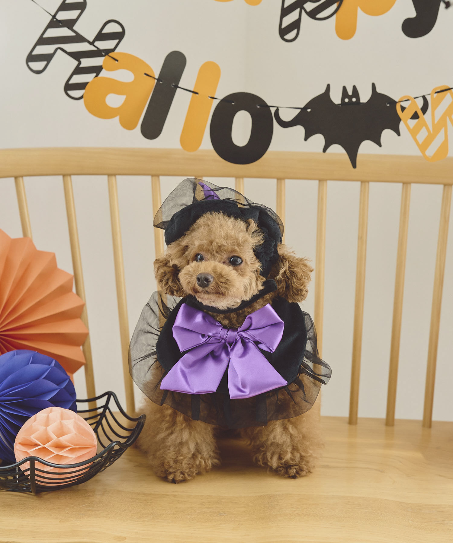 ROPE PICNIC PASSAGE「【DOG】ハロウィン魔女セット」|その他|