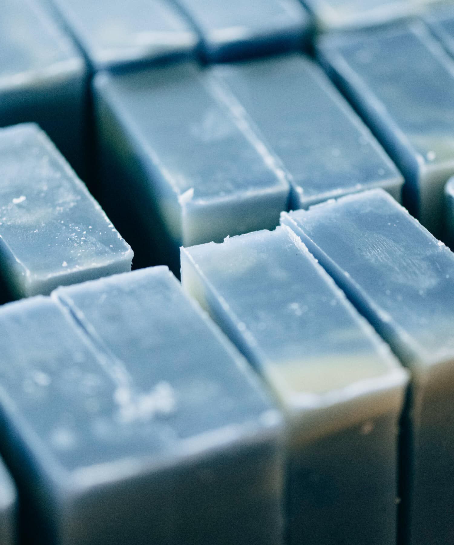 URBAN RESEARCH「Ladybug　グリーンティ」|その他|