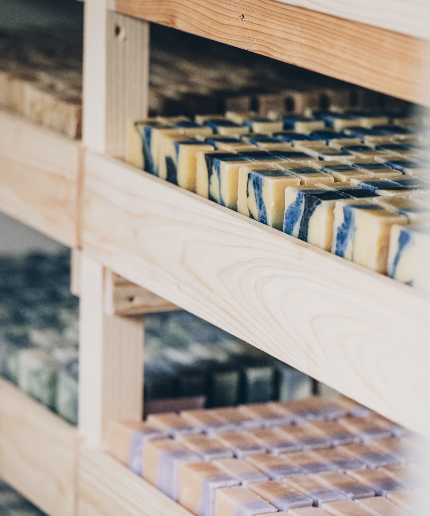 URBAN RESEARCH「Ladybug　グリーンティ」|その他|