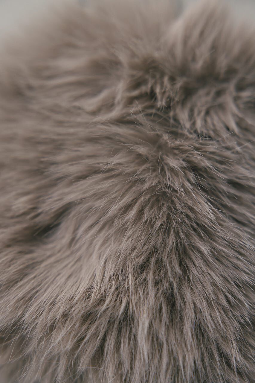 STYLEMIXER「フェイクファーミニバッグ」|その他|