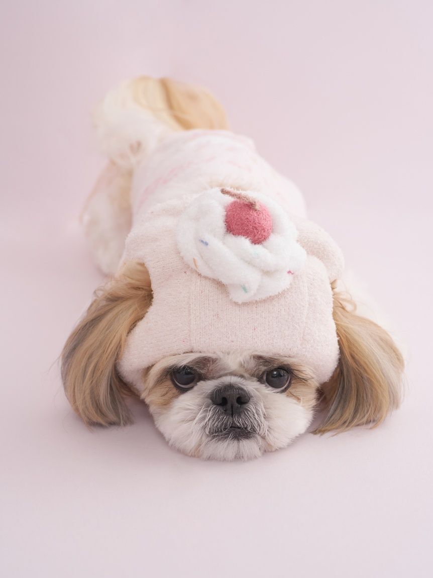  GELATO PIQUE CAT&DOG「【CAT&DOG】【Birthday】カップケーキハット」|その他|