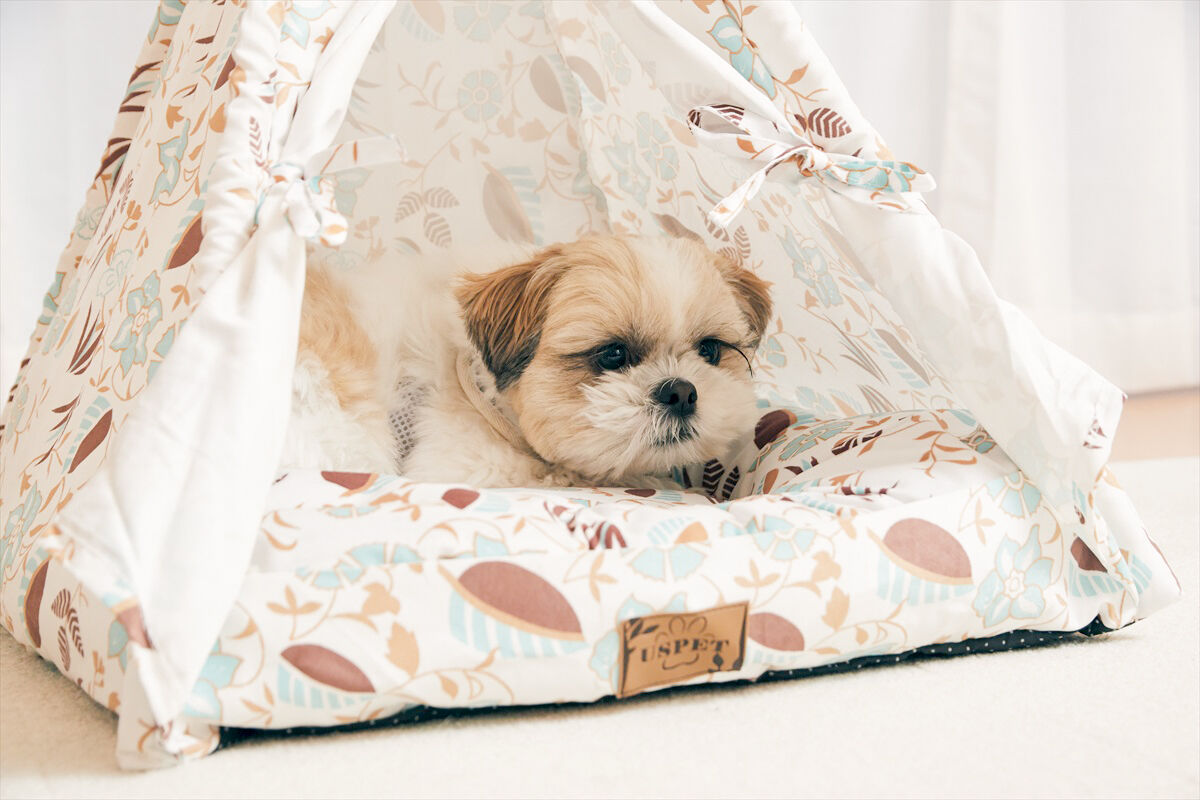 BACKYARD FAMILY「犬 猫 ハウス おしゃれ 室内 楽天 キャットハウス ドッグハウス ティピーテント ペットハウス」|その他|