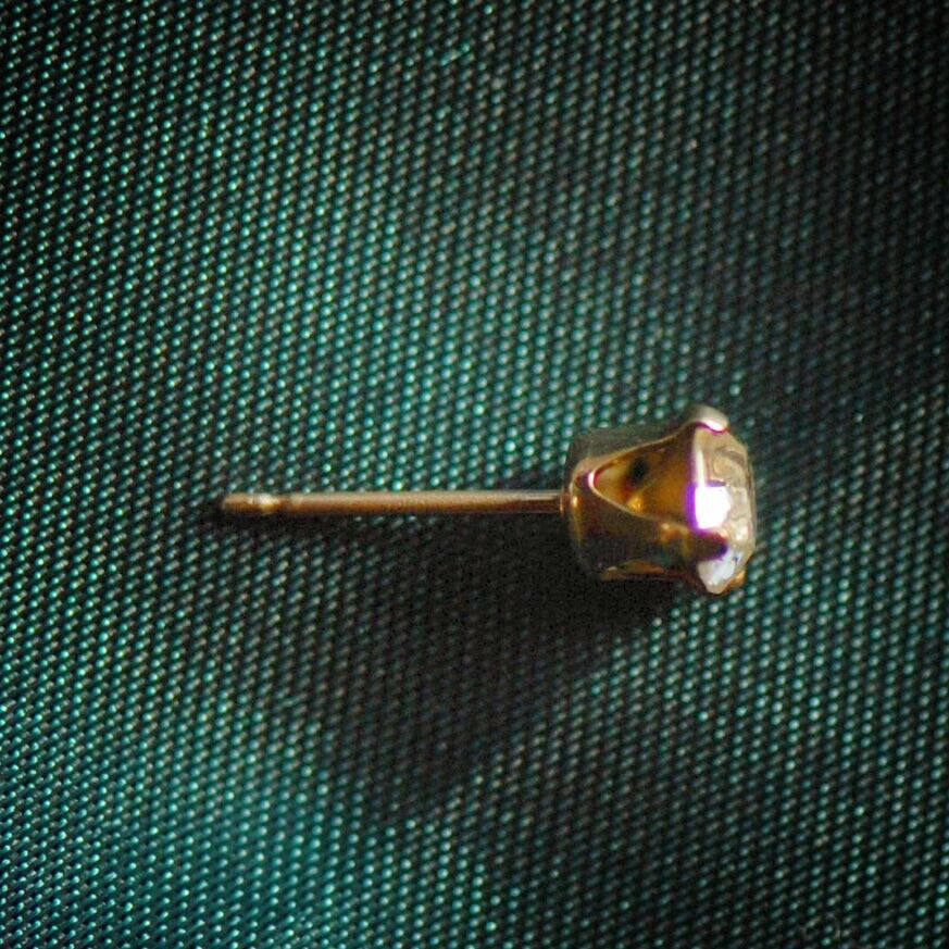 BACKYARD FAMILY「イヤリング アクセサリー 通販 イヤーアクセサリー 耳飾り 耳飾 装飾 装飾品 ピアス 光る 輝く」|その他|