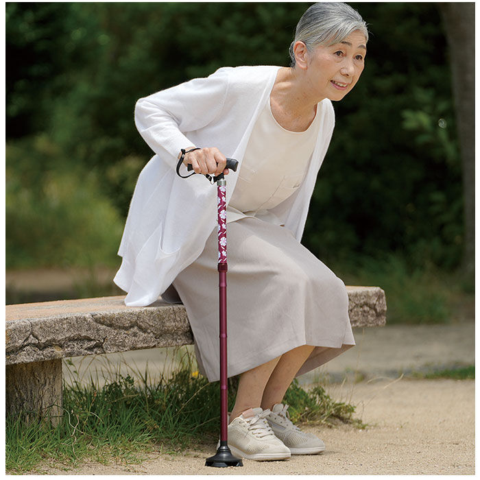 BACKYARD FAMILY「杖 折りたたみ 通販 折りたためるあんしんステッキ 折りたたみタイプ ステッキ つえ ツエ」|その他|