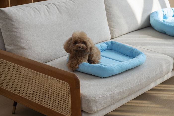 BACKYARD FAMILY「ペットベット ひんやり 通販 スクエアペットベッド スクエア クールパッド ペットマット」|その他|