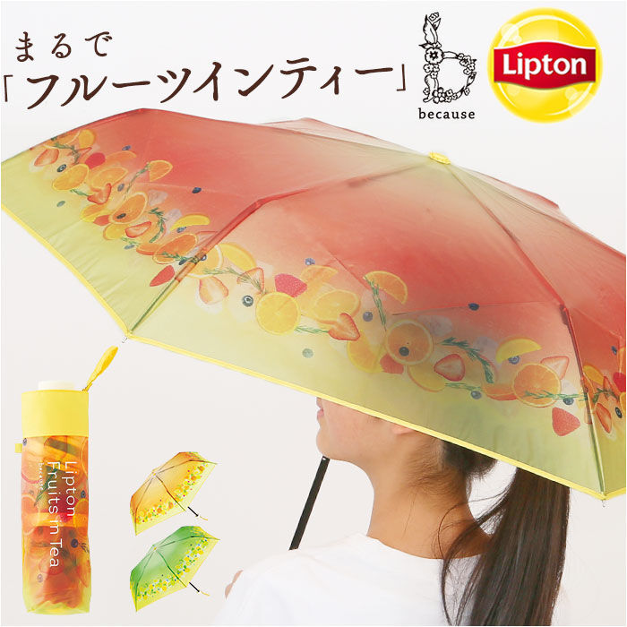 BACKYARD FAMILY「because 折りたたみ傘 ビコーズ B-055262 通販 折り畳み傘 ビニール傘」|傘|