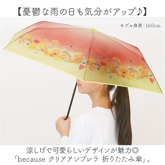BACKYARD FAMILY「because 折りたたみ傘 ビコーズ B-055262 通販 折り畳み傘 ビニール傘」|傘|
