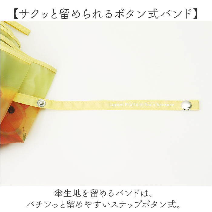 BACKYARD FAMILY「because 折りたたみ傘 ビコーズ B-055262 通販 折り畳み傘 ビニール傘」|傘|