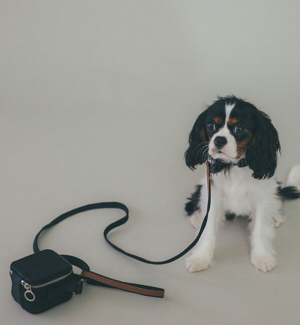 LOWELL things「MATIE/リードShort【Direction by  有末 麻祐子】」|その他|