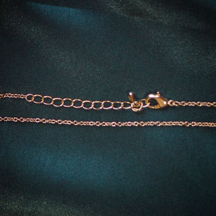 BACKYARD FAMILY「ネックレス ペンダント ジュエリー 好評 アクセサリー 首飾り チェーン 短め 長め アジャスター」|その他|