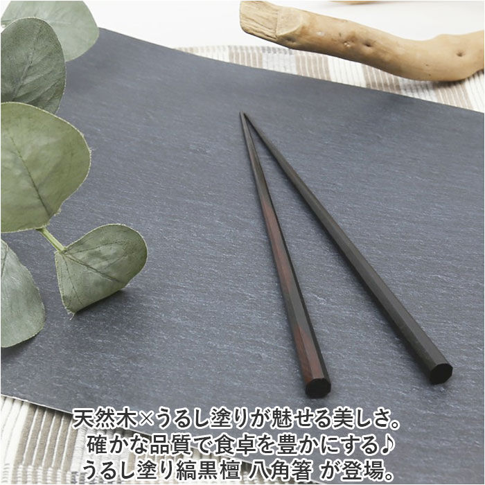 BACKYARD FAMILY「八角箸 日本製 通販 お箸 箸 はし 黒 漆塗り 縞黒檀 おしゃれ おはし シンプル 持ちやすい」|食器・キッチングッズ|