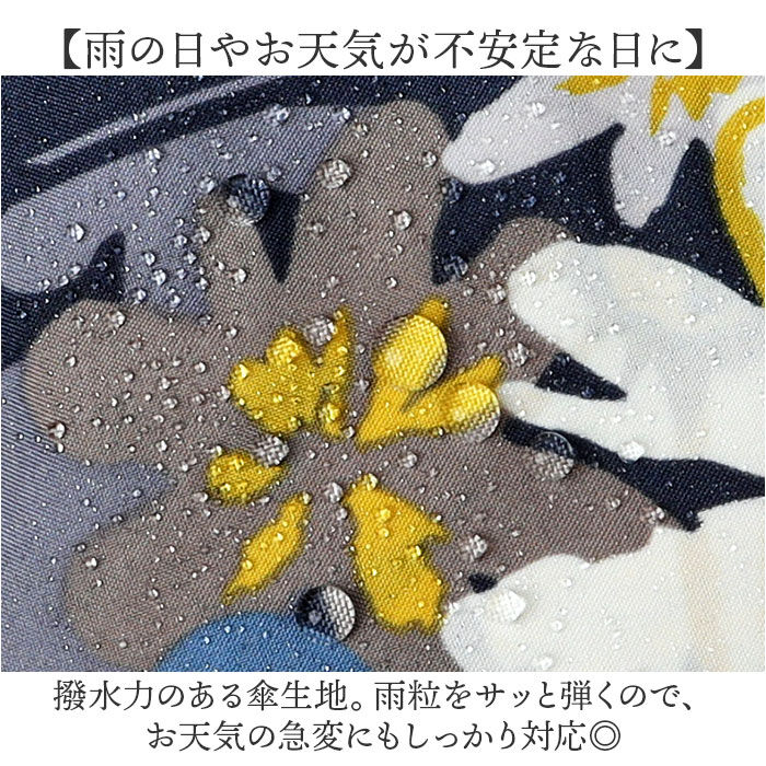 Wpc.「wpc 折りたたみ傘 晴雨兼用 通販 傘 折りたたみ ワールドパーティー 晴雨兼用傘 3段」|傘|