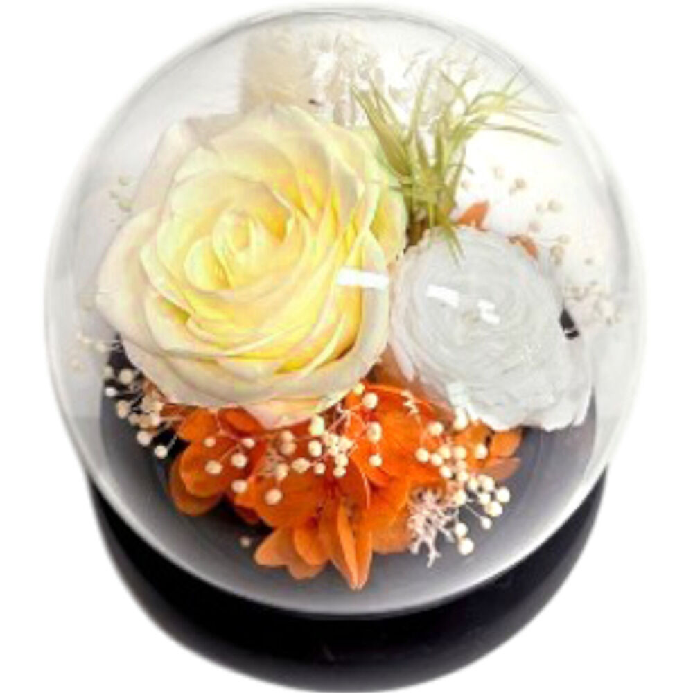 BACKYARD FAMILY「ブリザードフラワ- 通販 フラワーギフト ガラス製 フラワーアレンジメント ガラスドーム お花 花」|その他|オレンジ1
