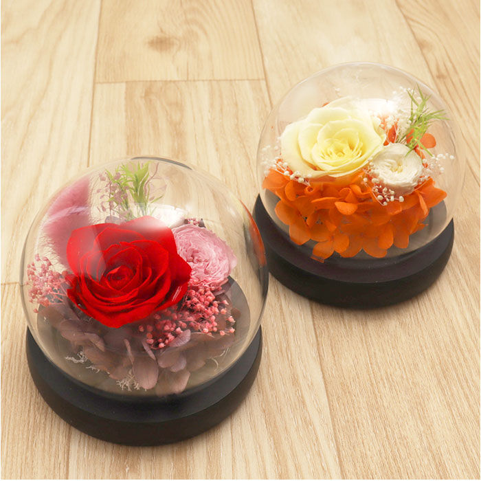 BACKYARD FAMILY「ブリザードフラワ- 通販 フラワーギフト ガラス製 フラワーアレンジメント ガラスドーム お花 花」|その他|