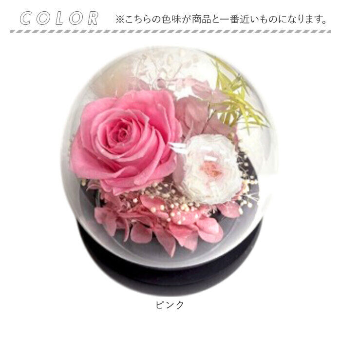 BACKYARD FAMILY「ブリザードフラワ- 通販 フラワーギフト ガラス製 フラワーアレンジメント ガラスドーム お花 花」|その他|