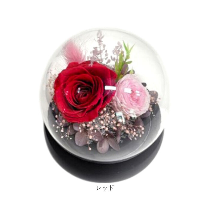 BACKYARD FAMILY「ブリザードフラワ- 通販 フラワーギフト ガラス製 フラワーアレンジメント ガラスドーム お花 花」|その他|