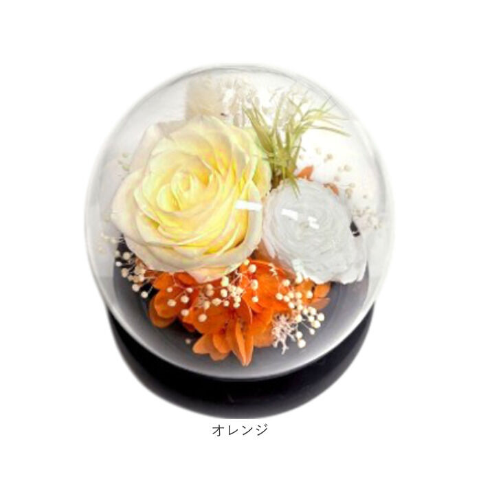 BACKYARD FAMILY「ブリザードフラワ- 通販 フラワーギフト ガラス製 フラワーアレンジメント ガラスドーム お花 花」|その他|