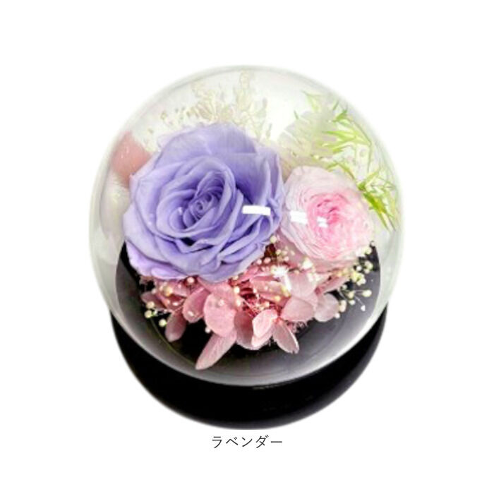 BACKYARD FAMILY「ブリザードフラワ- 通販 フラワーギフト ガラス製 フラワーアレンジメント ガラスドーム お花 花」|その他|