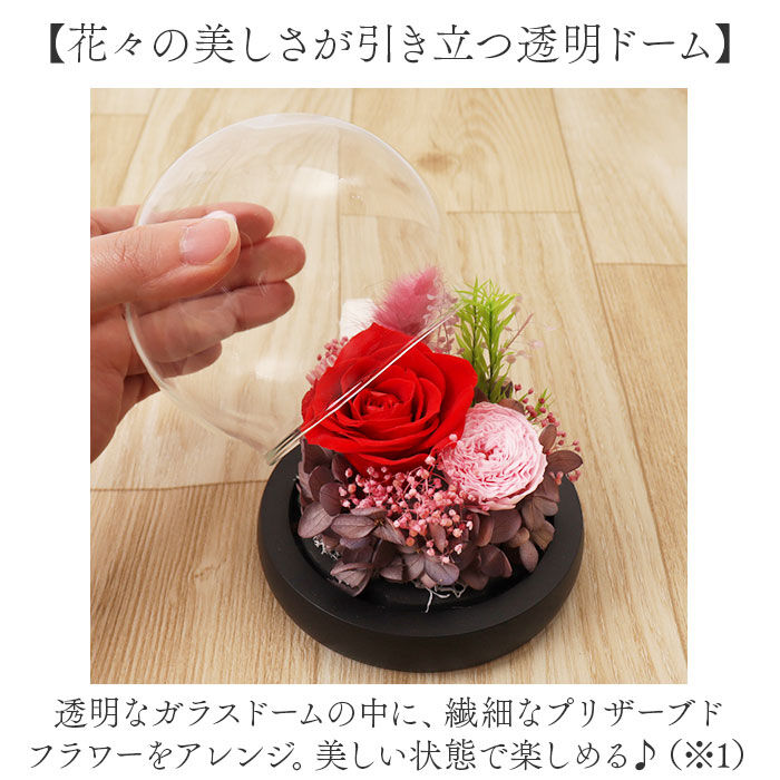 BACKYARD FAMILY「ブリザードフラワ- 通販 フラワーギフト ガラス製 フラワーアレンジメント ガラスドーム お花 花」|その他|