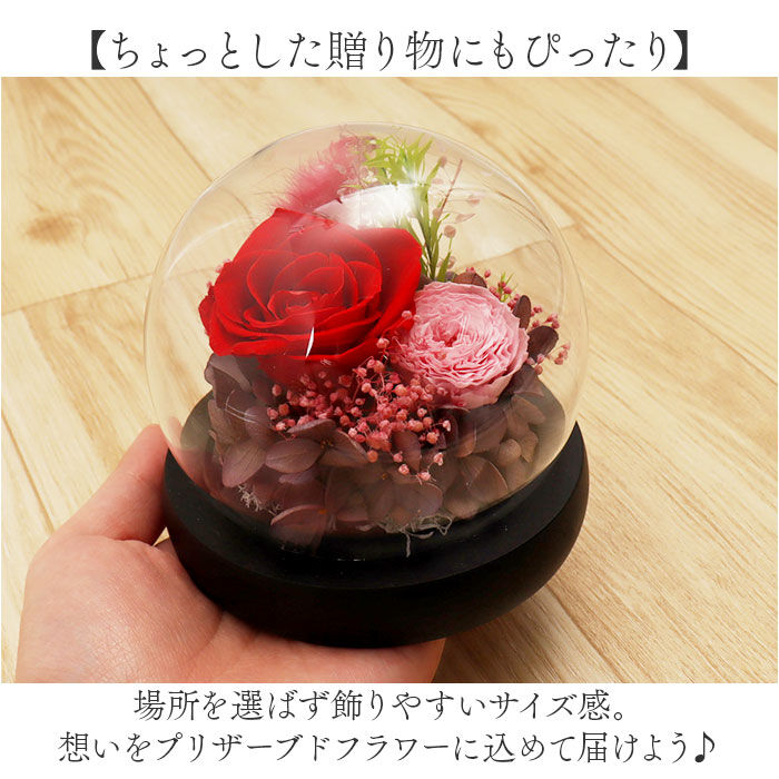 BACKYARD FAMILY「ブリザードフラワ- 通販 フラワーギフト ガラス製 フラワーアレンジメント ガラスドーム お花 花」|その他|