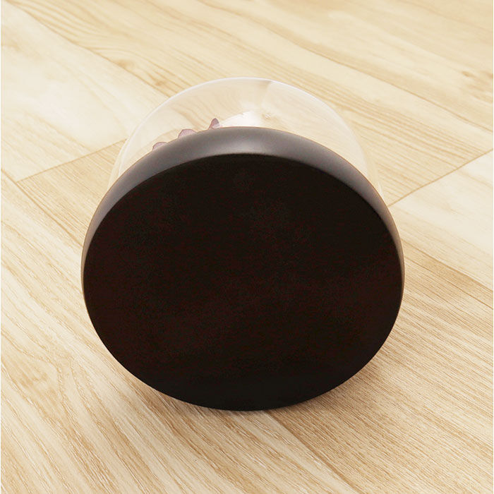 BACKYARD FAMILY「ブリザードフラワ- 通販 フラワーギフト ガラス製 フラワーアレンジメント ガラスドーム お花 花」|その他|