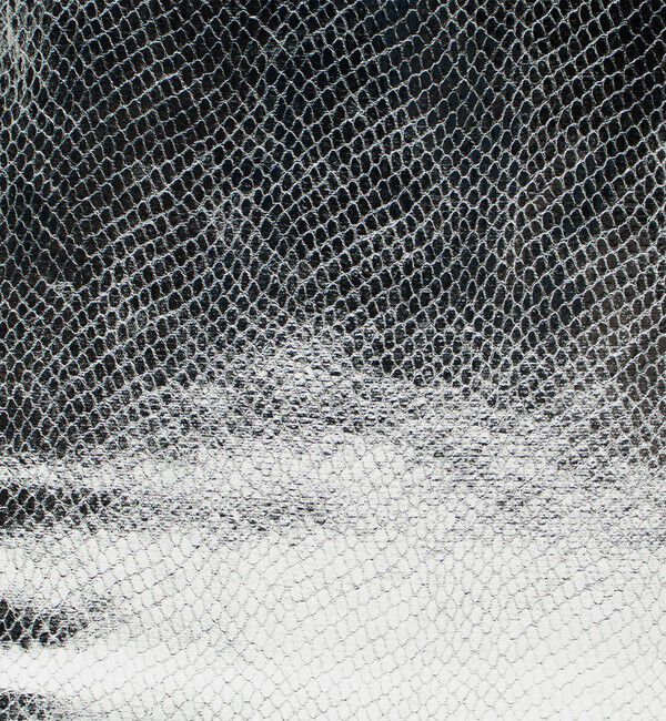 UNITED ARROWS green label relaxing「【別注】＜BINDU＞メタリック トートバッグ」|トートバッグ|