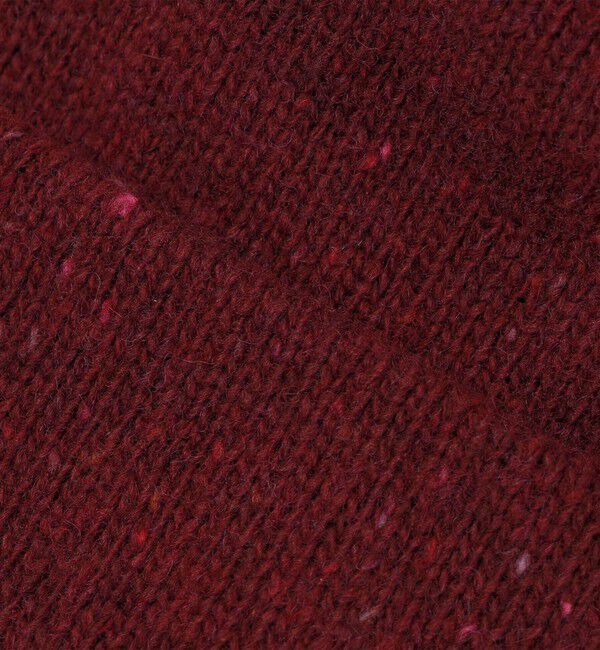 SHIPS「 【SHIPS別注】halo commodity: NEP WATCH CAP」|その他|