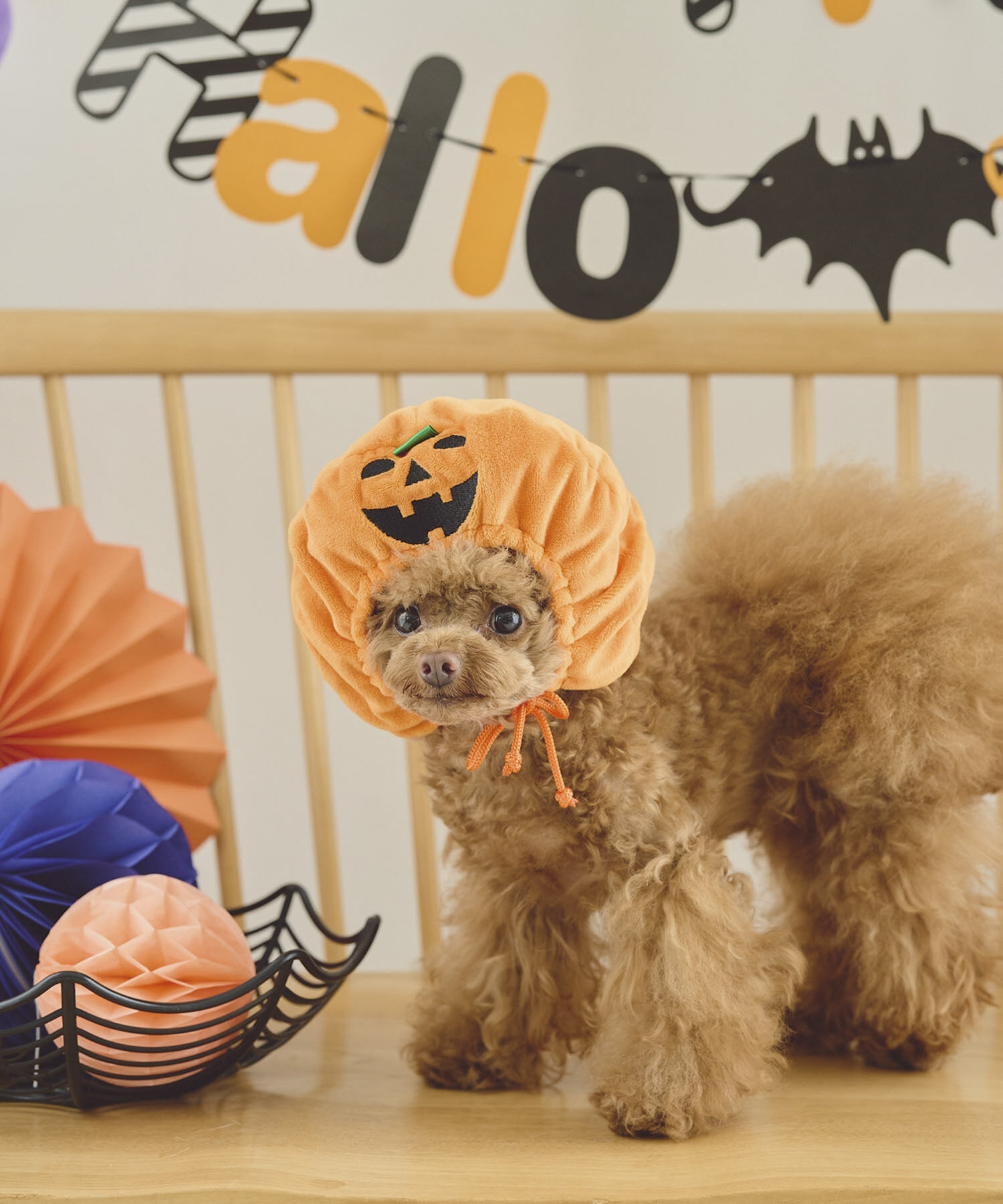 ROPE PICNIC PASSAGE「【DOG】ハロウィンかぼちゃ」|その他|