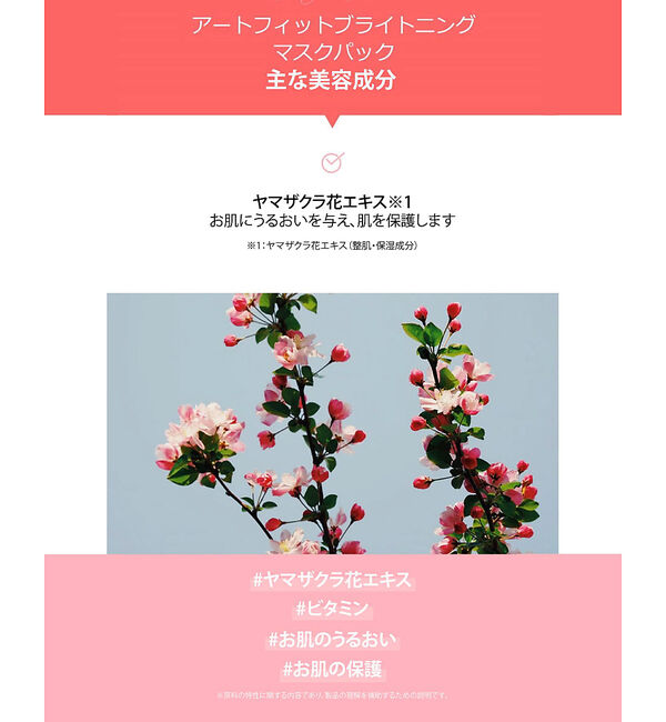 Rouge vif「【FIT YOUR SKIN/フィットユアスキン】アートフィットブライトパック5」|その他|