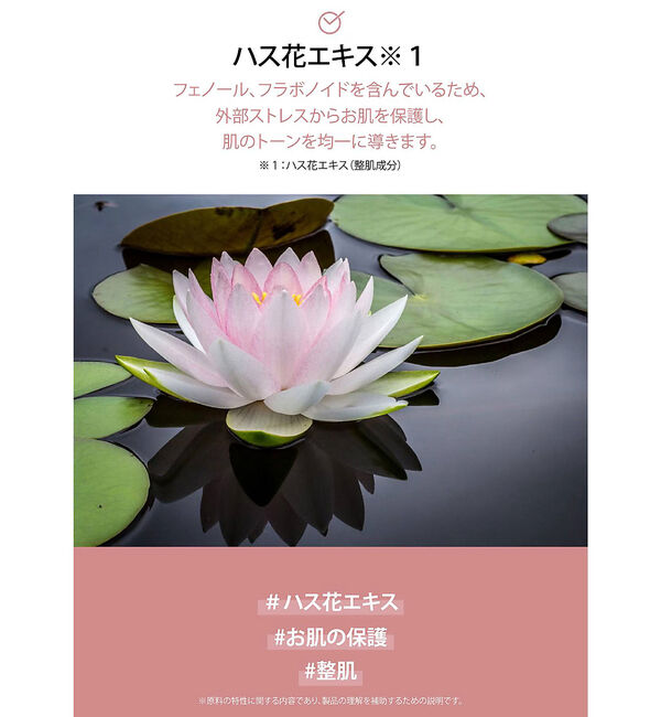 Rouge vif「【FIT YOUR SKIN/フィットユアスキン】アートフィットブライトパック5」|その他|