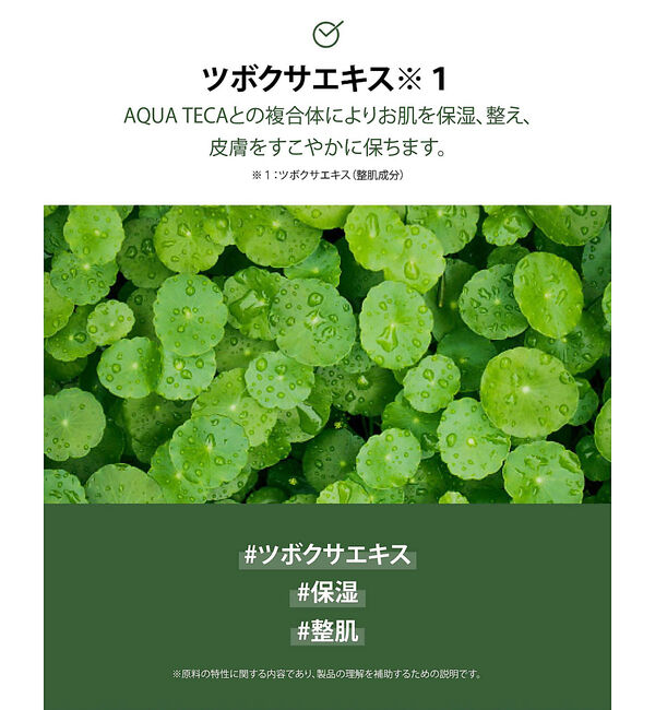 Rouge vif「【FIT YOUR SKIN/フィットユアスキン】アートフィットブライトパック5」|その他|