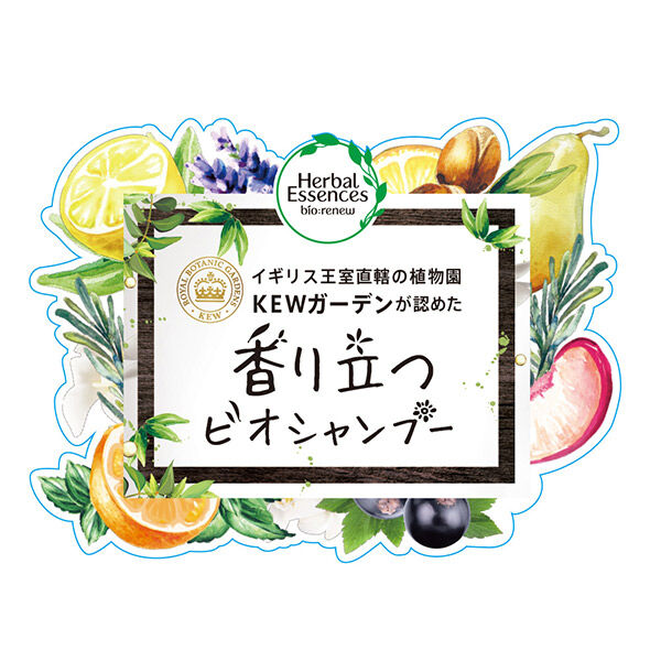  「ハーバルエッセンス ビオリニュー モロッカンオイル シャンプー シャンプー本体 (400ml)」|シャンプー|