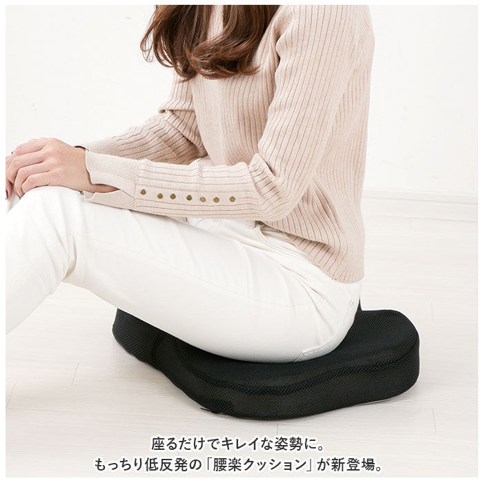 BACKYARD FAMILY「クッション 低反発 通販 もっちり低反発 腰楽クッション 椅子クッション イス いす」|その他|