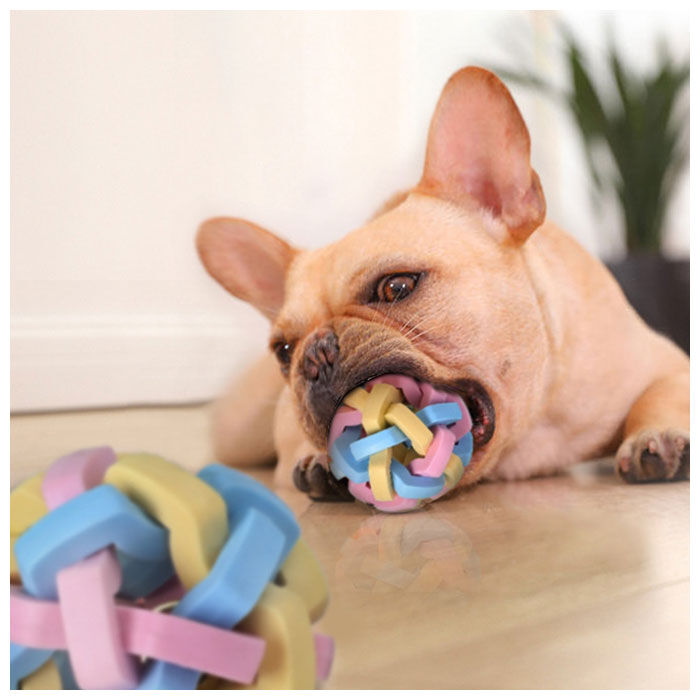 BACKYARD FAMILY「犬 おもちゃ ボール 通販 犬のおもちゃ オモチャ ペット用品 知育 玩具 しつけ 留守番」|その他|