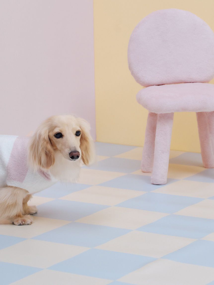  GELATO PIQUE CAT&DOG「【CAT&DOG】スムーズィーダックスサイズ２ボーダーフーディー」|その他|