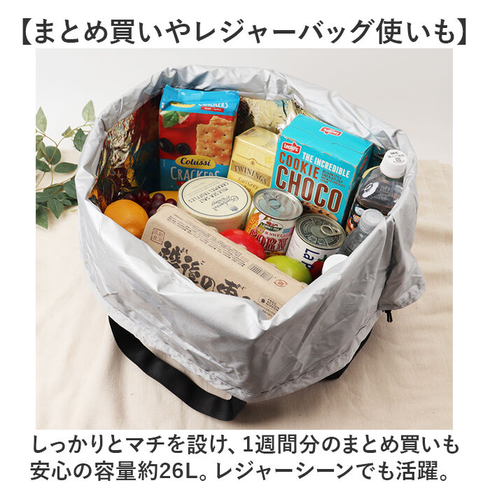 BACKYARD FAMILY「エコバッグ 保冷 折りたたみ 通販 レジカゴ用保冷バッグ レジカゴ型 エコバック おりたたみ」|エコバッグ|