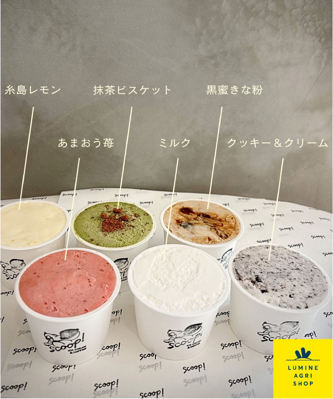 LUMINE AGRI SHOP「春限定＆人気ﾌﾚｰﾊﾞｰｼﾞｪﾗｰﾄ6種ｱｿｰﾄ」|和洋菓子・アイス|