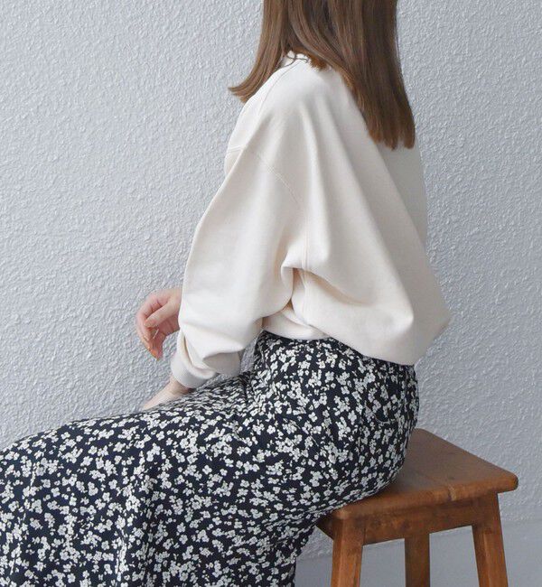 SHIPS any「【WEB限定】SHIPS any: NATIONAL PARK プリント スウェット 23AW◇」|スウェット・ジャージ|