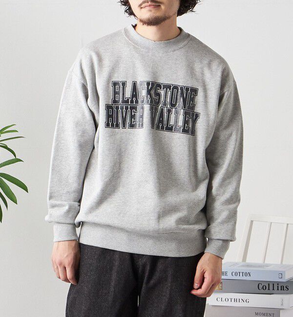 SHIPS any「【WEB限定】SHIPS any: NATIONAL PARK プリント スウェット 23AW◇」|スウェット・ジャージ|シルバーグレー