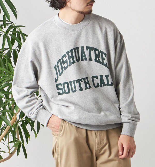 SHIPS any「【WEB限定】SHIPS any: NATIONAL PARK プリント スウェット 23AW◇」|スウェット・ジャージ|ライトグレー