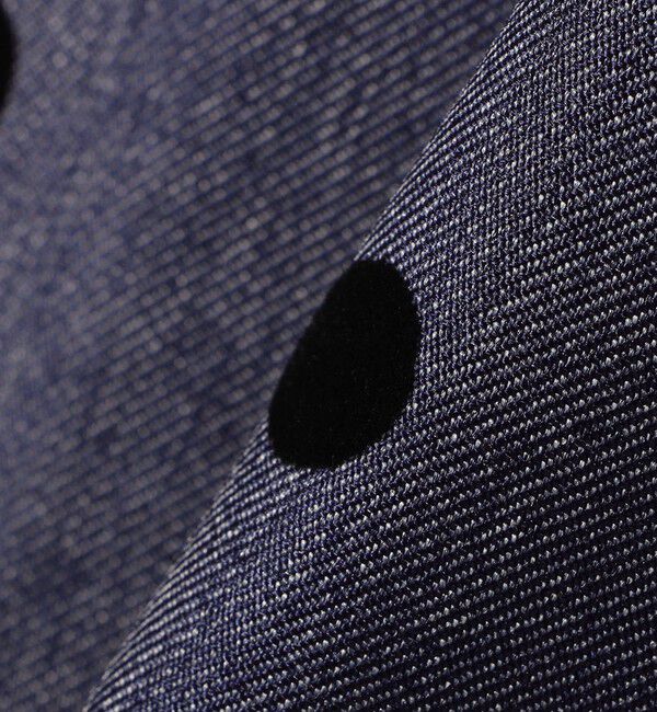 SHIPS Colors 「SHIPS Colors:〈洗濯機可能〉フロッキードット デニムライク スカート」|フレア|