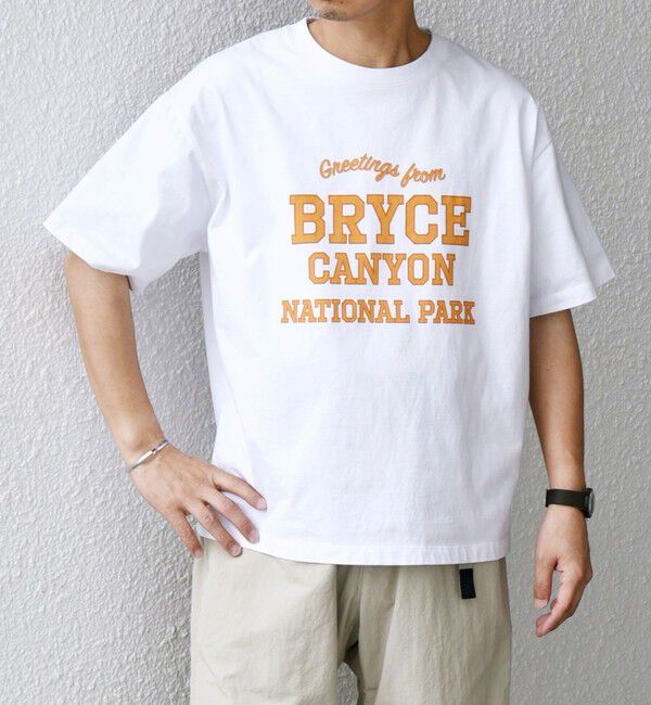 SHIPS any「SHIPS any: NATIONAL PARK ヴィンテージライク プリント Tシャツ◇」|Tシャツ・カットソー|