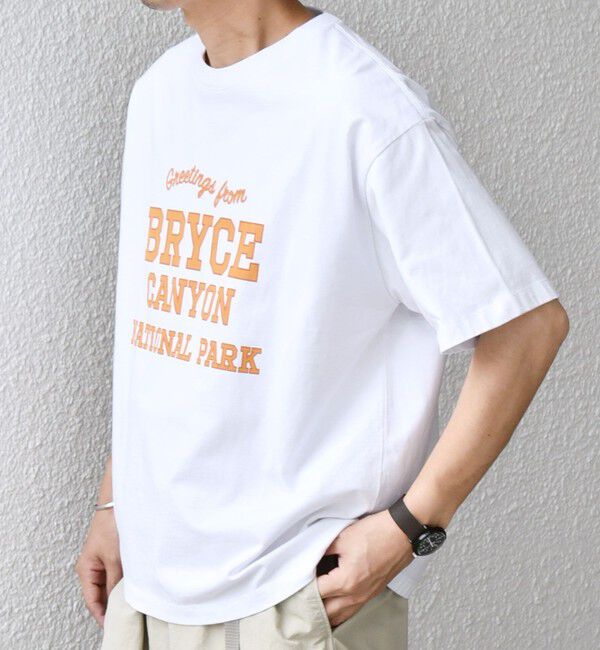 SHIPS any「SHIPS any: NATIONAL PARK ヴィンテージライク プリント Tシャツ◇」|Tシャツ・カットソー|